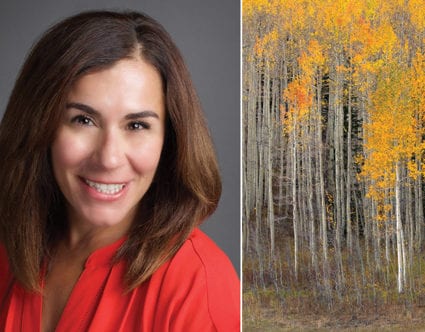 trish-millen-park-city-real-property trish-mcmillen-park-city-real-estate-agent