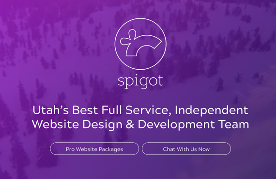best-park-city-web-firm-spigot