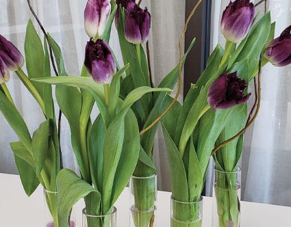 park-city-florist-tulip-flowers-by-you park-city-florist-tulip-flowers-by-you