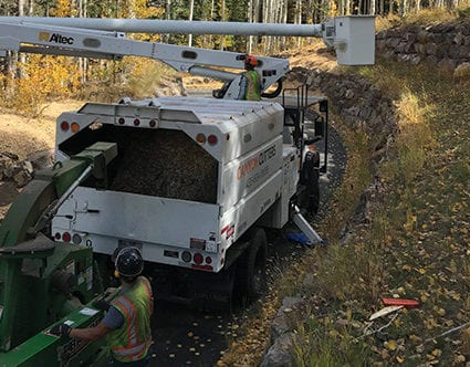canyon-cutters-chipper-tree-trimming