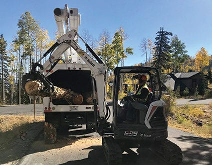 canyon-cutters-tree-removal