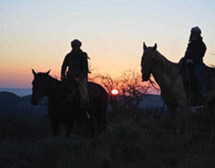 park-city-horseback-riding-mountains