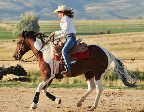 High-Star-Ranch-Park-City-Activities-horseback-riding High-Star-Ranch-Park-City-Activities-horseback-riding