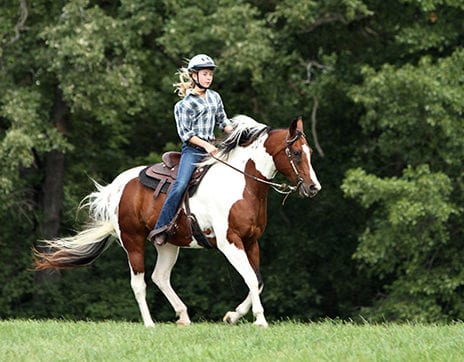 Rhodes-Valley-Outfitters-Park-City-Activities-riding-stables Rhodes-Valley-Outfitters-Park-City-Activities-riding-stables