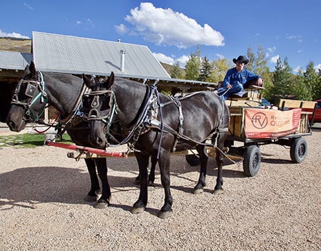 Rhodes-Valley-Outfitters-Park-City-Activities-winter-sleigh-ride Rhodes-Valley-Outfitters-Park-City-Activities-winter-sleigh-ride