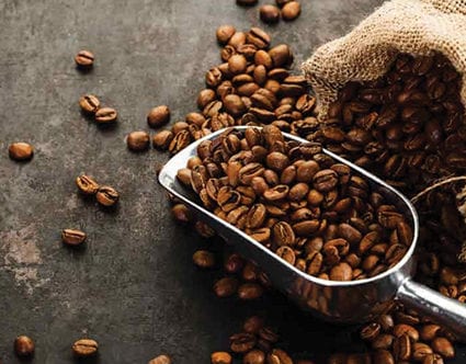 park-city-coffee-roasters-shop-online