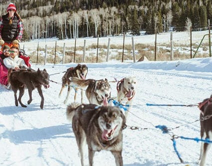park-city-luna-lobos-dog-sledding-tours