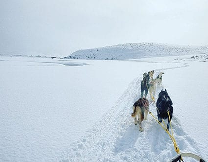 park-city-utah-luna-lobos-dog-sledding