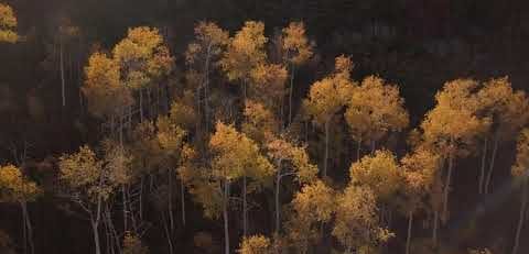 Best of Fall Colors 2019 by Drew Neff @nephland