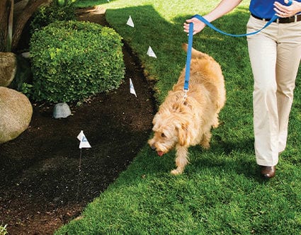 dog-fence-park-city-invisible-fence-for-pets dog-fence-park-city-invisible-fence-for-pets