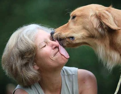 park-city-invisible-fence-for-pets park-city-invisible-fence-for-pets