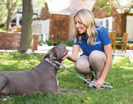 park-city-invisible-fence-for-pets-dog-training park-city-invisible-fence-for-pets-dog-training