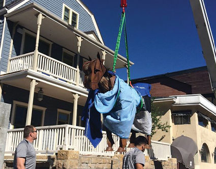 two-man-moving-park-city-statue-moving two-man-moving-park-city-statue-moving